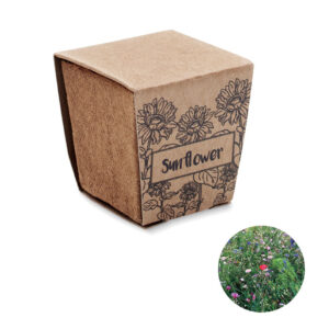 SUNFLOWER KIT Pflanz-Set ''Sonnenblume''