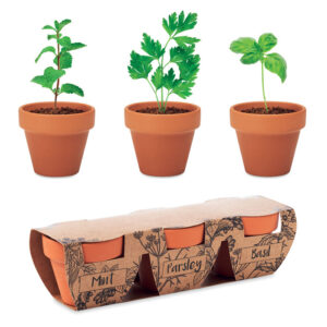 FLOWERPOT 3 Terrakotta-Töpfe mit 3 verschiedenen Kräutersamen