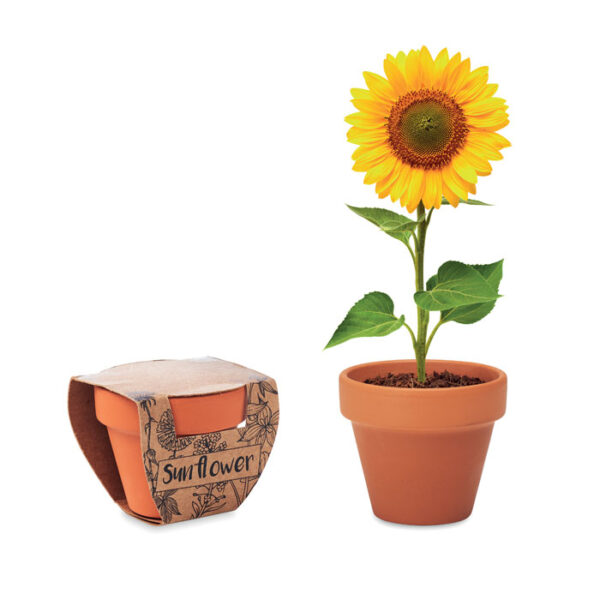 SUNFLOWER Kleiner Terrakotta-Topf mit ''Sonnenblumen''-Samen